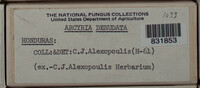 Image Associated With the Occurence
